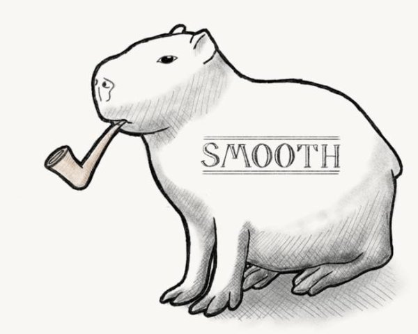 Капибара арт