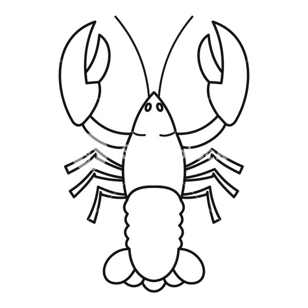 Мелкие рачки рисунок