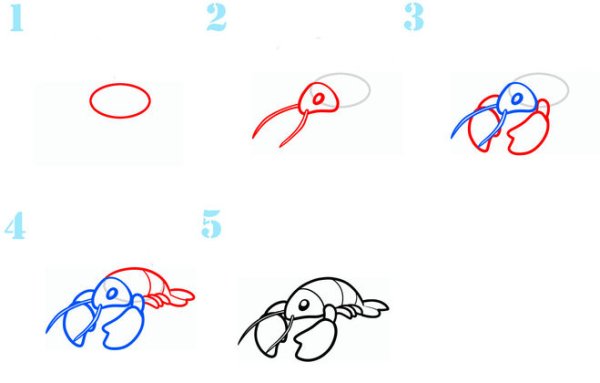 Как нарисовать краба