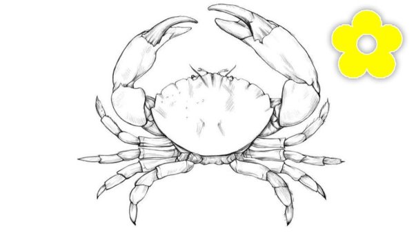 Лобстер мультяшный