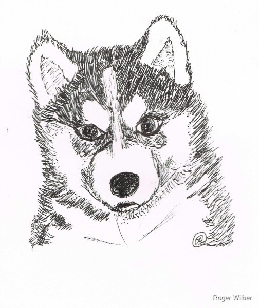 Хаски милые мультяшные