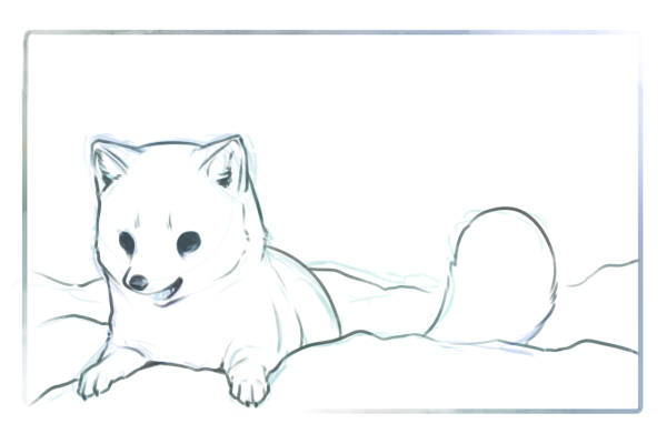 Песец рисунок для срисовки