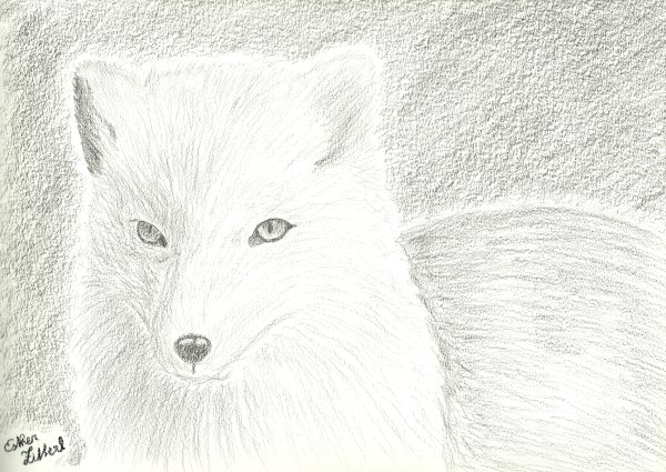 Рисунок писец карандашом