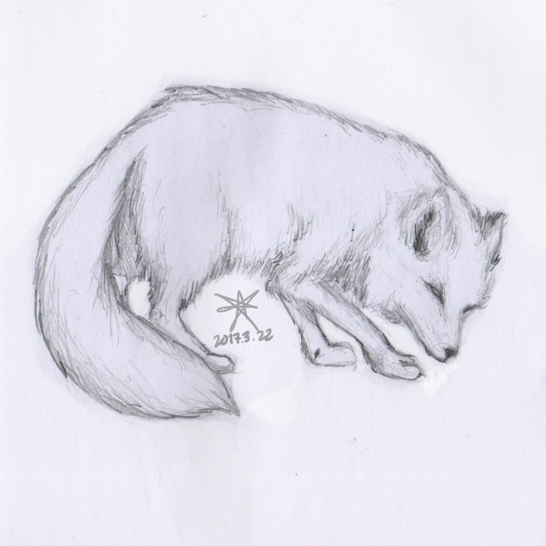 Песец карандашом