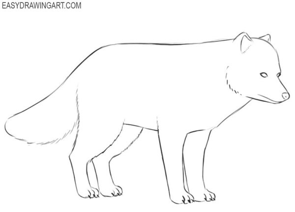 Нарисовать несложный рисунок песца