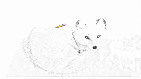 Обои с песцом нарисованный