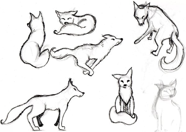 Рисунок лисы для срисовки