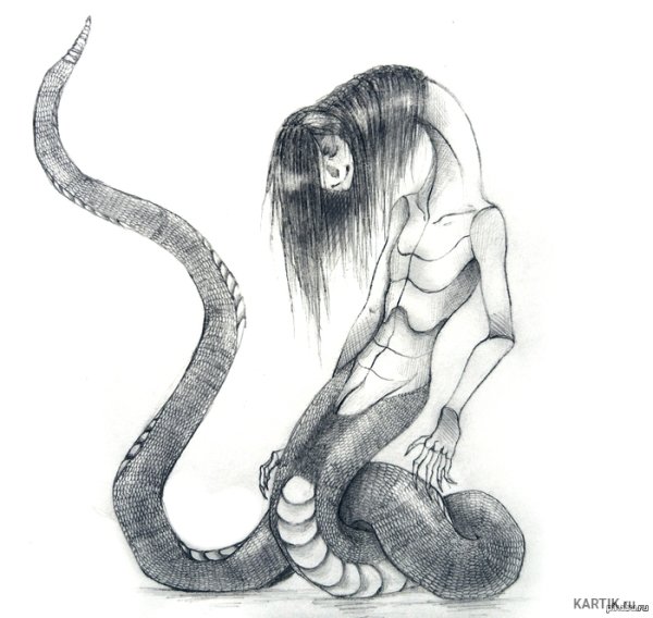 Череп лошади