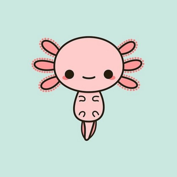 Аксолотль для срисовки легко