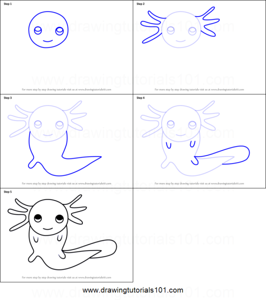 Аксолотль туториал