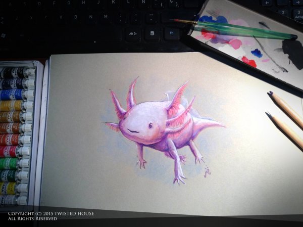 Стикеры аксолотль