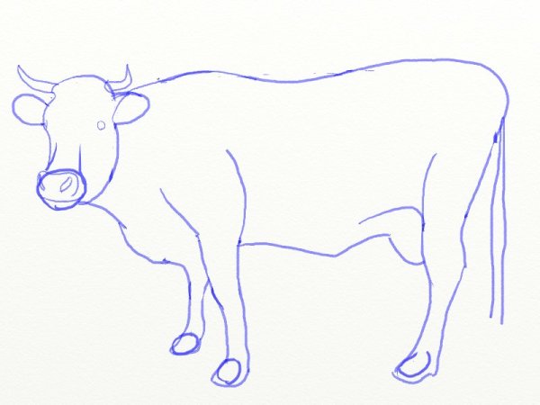 Поэтапное рисование коровы