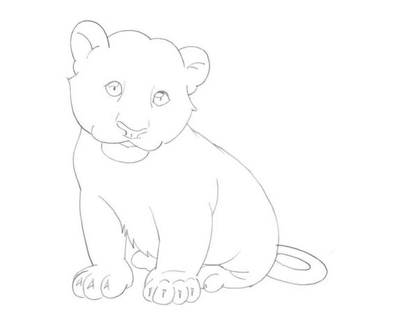 Тигренок рисунок карандашом для начинающих