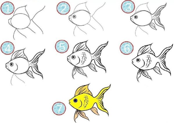 Рыба рисунок легкий