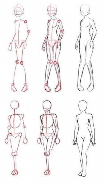 Поэтапное рисование тела