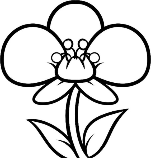 Цветок для срисовки легкий