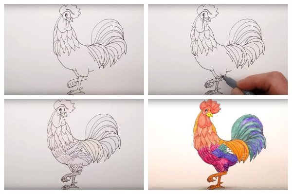 Поэтапное рисование петушка