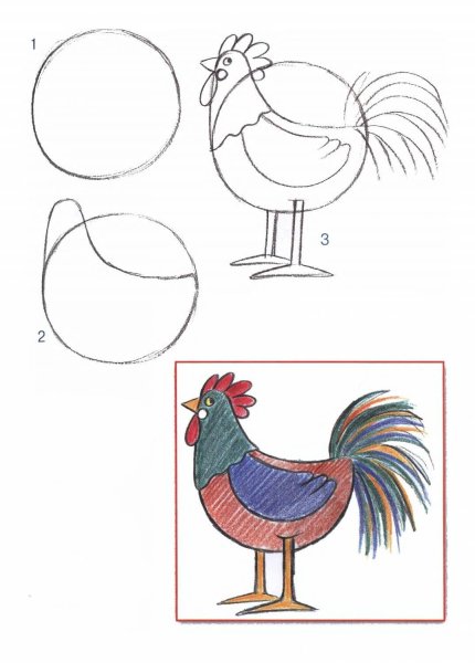 Поэтапное рисование петушка