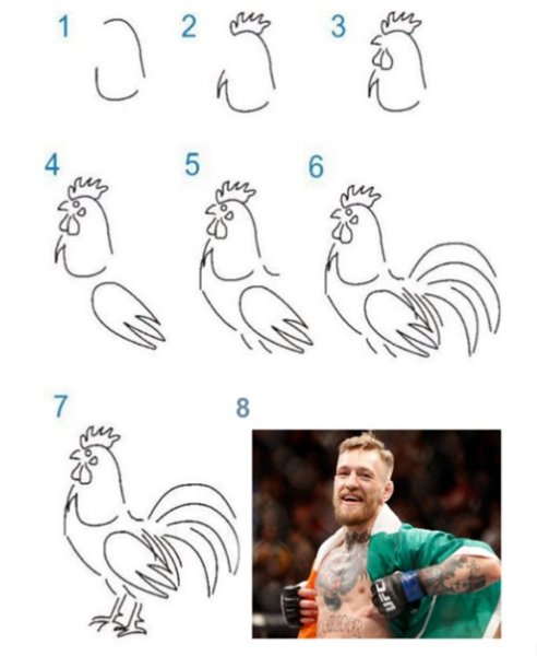 Этапы рисования петуха