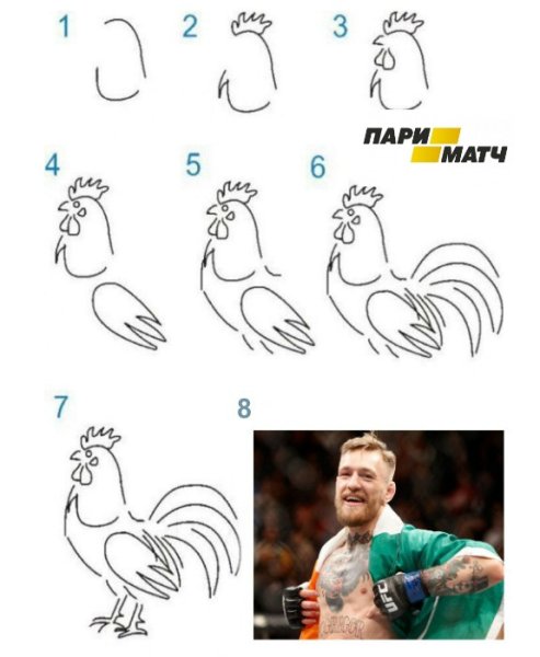 Петух рисунок карандашом