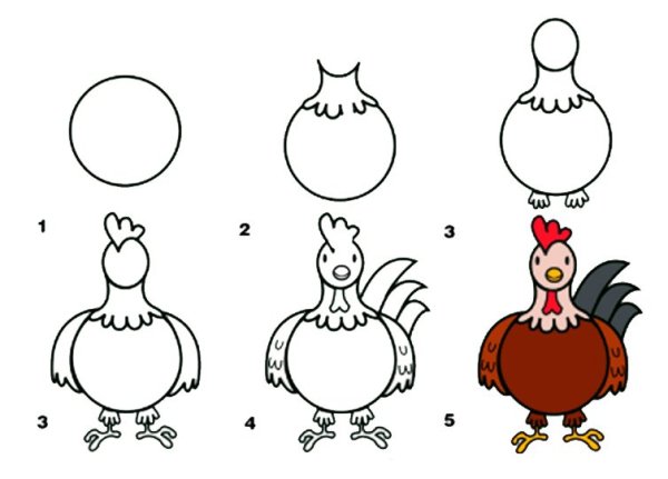 Этапы рисования петуха