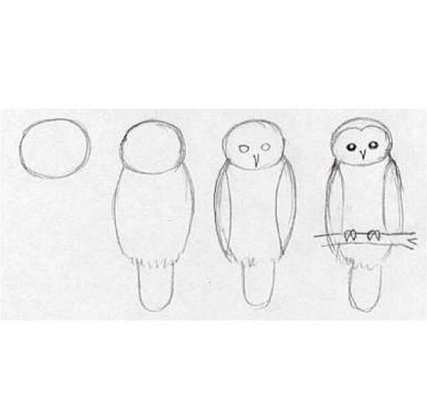 Полярная Сова поэтапное рисование