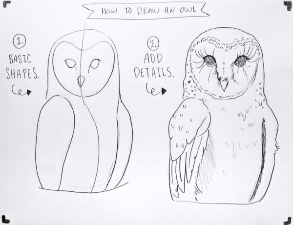 Как нарисовать сову карандашом поэтапно