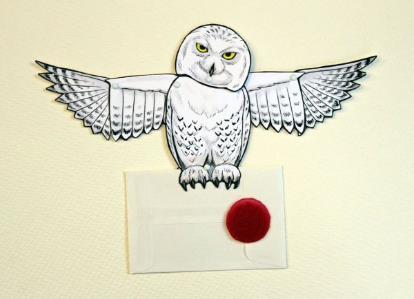 Гарри Поттер Сова Букля вектор