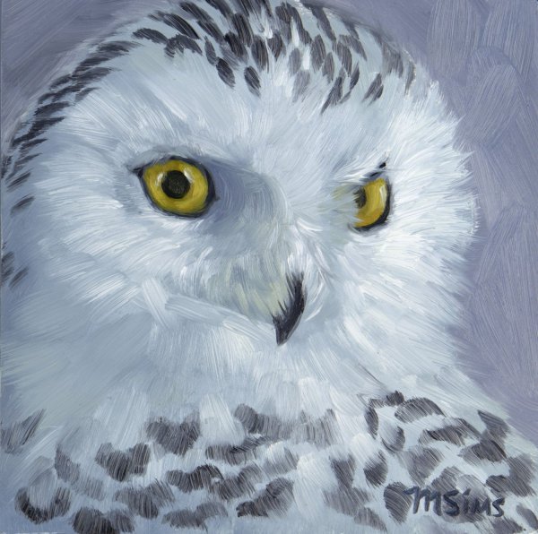 Рисование Полярная Сова