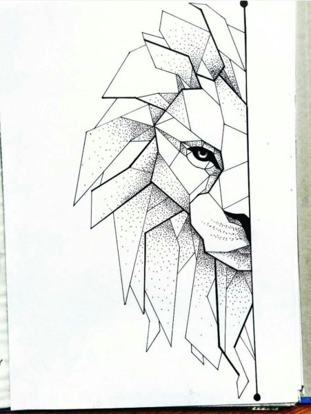 Геометрическая лиса