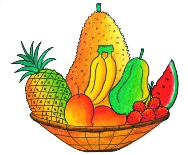 Картинки для срисовки фрукты