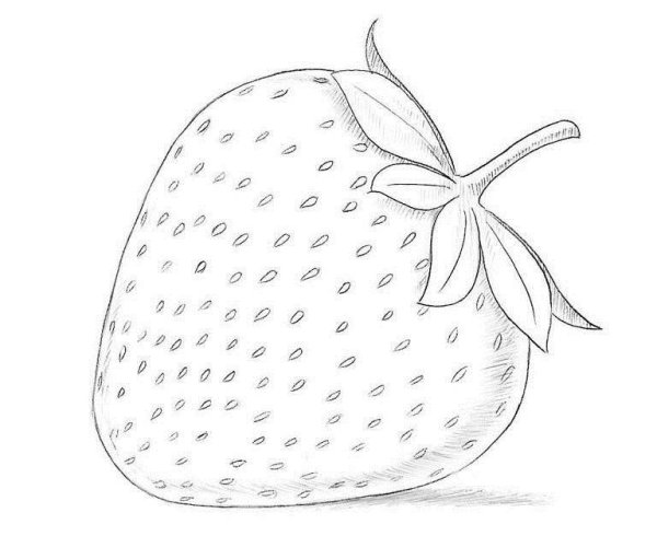 Фрукты. Раскраска