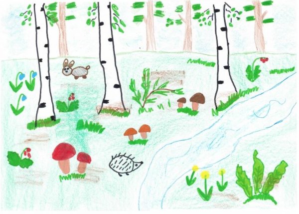Рисование лето в лесу