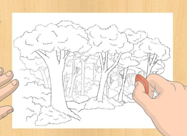 Лес карандашом легко для детей