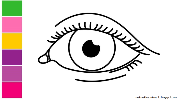Раскраска глаза человека