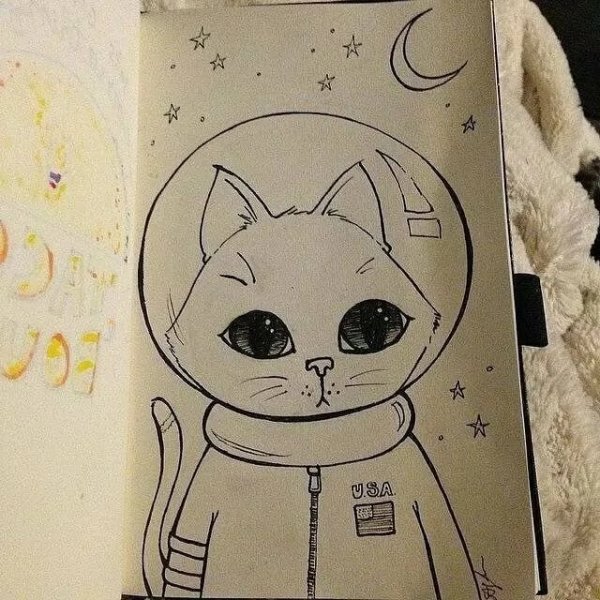 Рисунки для скетчь бука лёгкие