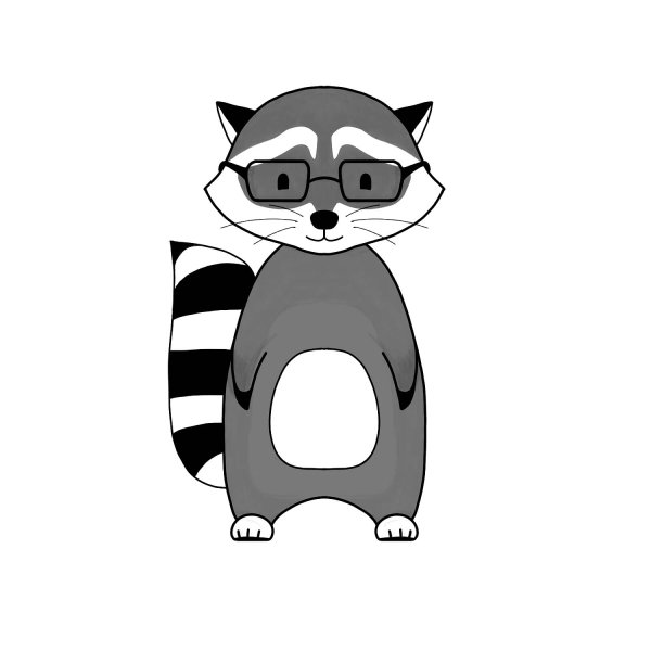 Енот рисунок для срисовки