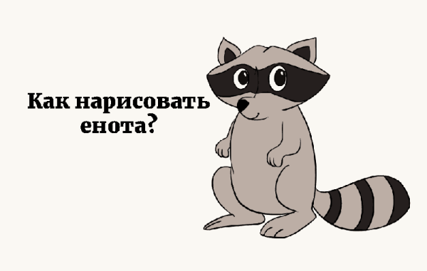 Енот картинка для детей