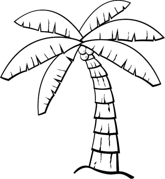 Новогодняя Пальма раскраска