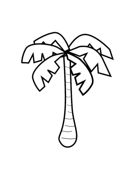 Пальма раскраска