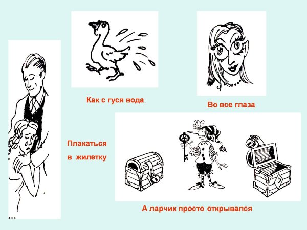 Веселые фразеологизмы в картинках