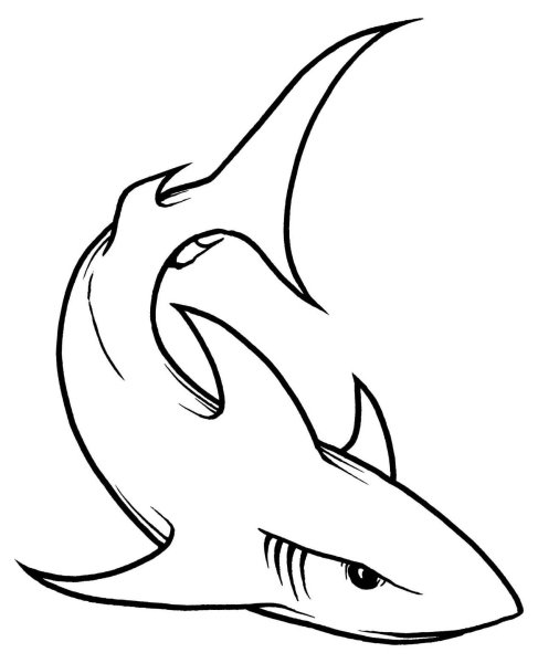 Акула поэтапно