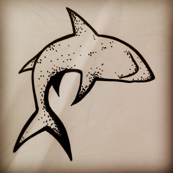 Акула рисовать