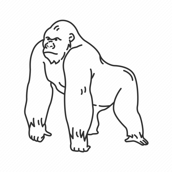 Горилла для срисовки