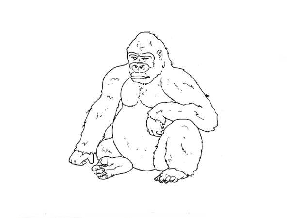 Нарисовать гориллу