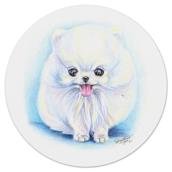 Померанский шпиц круглый