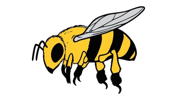 Пошаговое рисование пчелы для детей