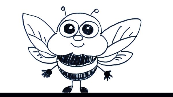 Пчела раскраска