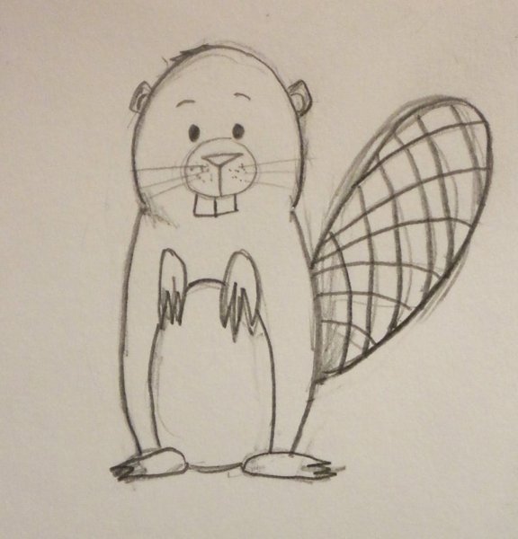 Бобёр рисунок лёгкий