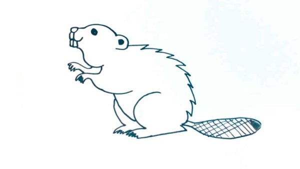 Рисуем бобра с детьми